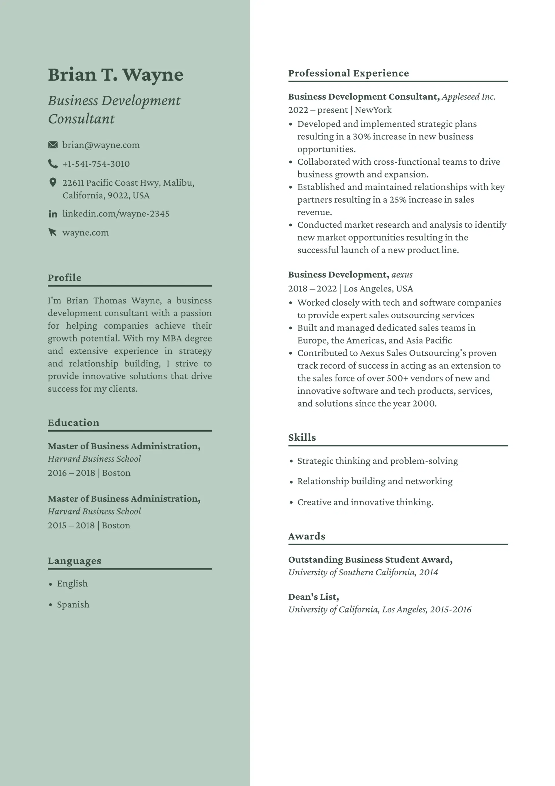 Classic monochrome resume template for executives