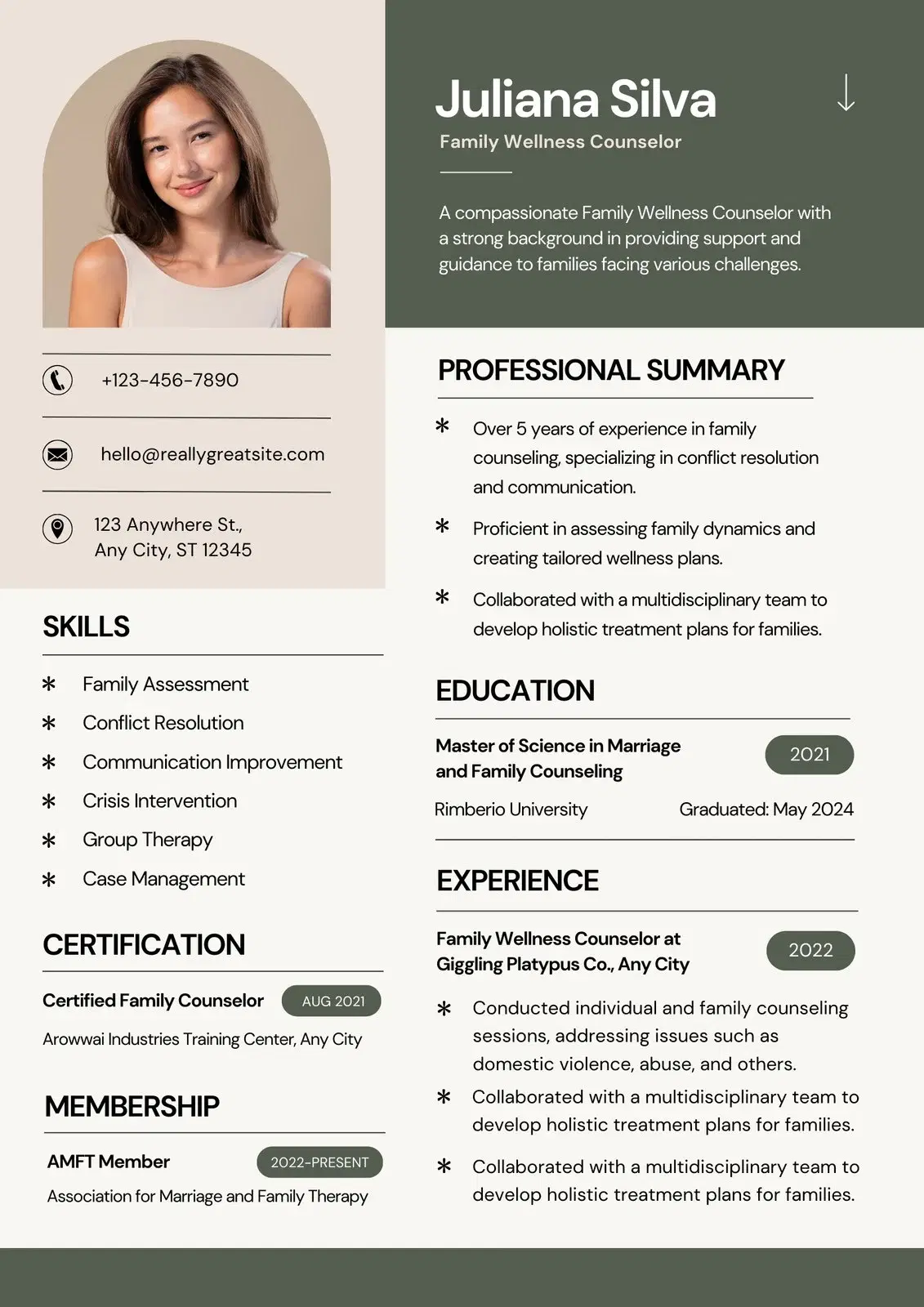 stylish Resume